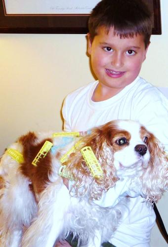Daniel styling our Cavalier King Charles Spaniel, "Reagan," hopeful for a future Pet Star appearance