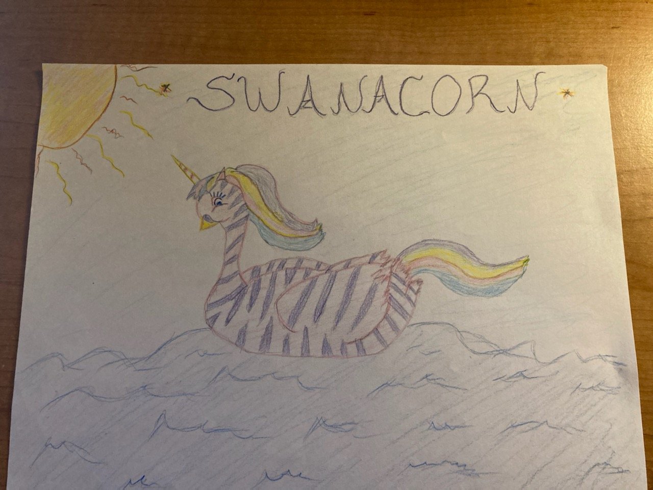 Jessica drew me this and framed it for me, my rare creation swanacorn