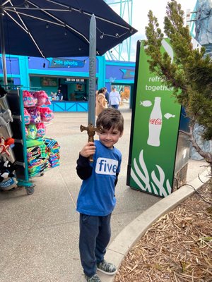 Sea&#x20;World&#x20;to&#x20;celebrate&#x20;5&#x20;years&#x20;old&#x21;&#x20;He&#x20;absolutely&#x20;loves&#x20;this&#x20;sword&#x20;that&#x20;he&#x20;bought&#x20;with&#x20;birthday&#x20;money&#x20;from&#x20;friends&#x2F;family.&#x20;&#x2764;&#xFE0F;&#xD83CDF89;&#x20;Many&#x20;seagulls&#x20;were&#x20;chased&#x20;down.&#x20;&#xD83DDE02;