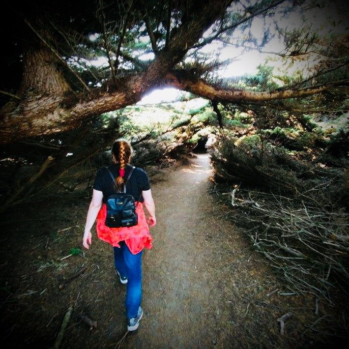 Laura loving her walk on a canopied California woods pathway at Sea Ranch in Sonoma County that leads directly to the ocean.