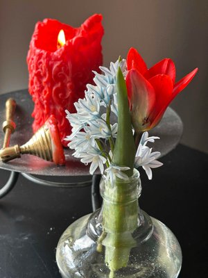 The&#x20;first&#x20;tulip&#x20;bloomed&#x20;today.&#x20;I&#x20;picked&#x20;it&#x20;to&#x20;brighten&#x20;my&#x20;table,&#x20;along&#x20;with&#x20;a&#x20;candle&#x20;that&#x20;Dale&#x20;had&#x20;poured.