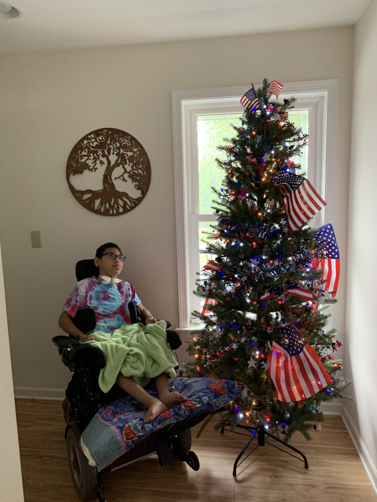 Rae and his patriotic tree. He loves the lights 