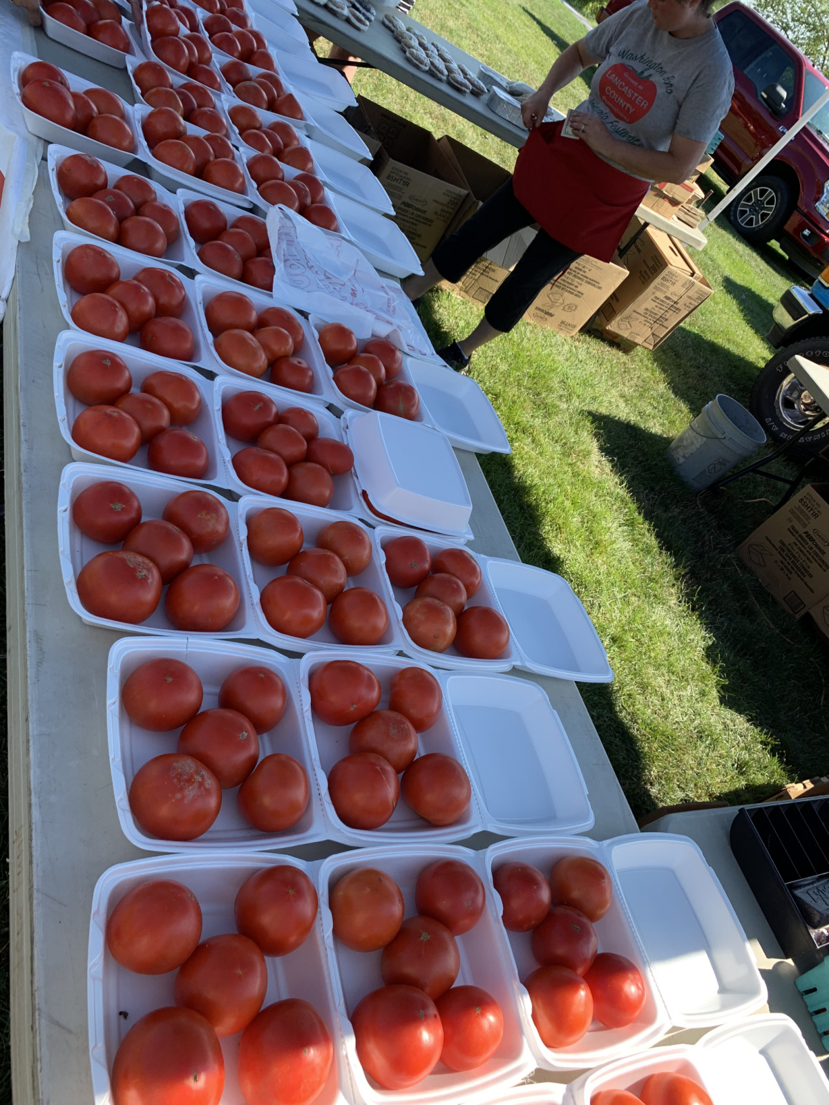 Washington Boro Tomatoes 