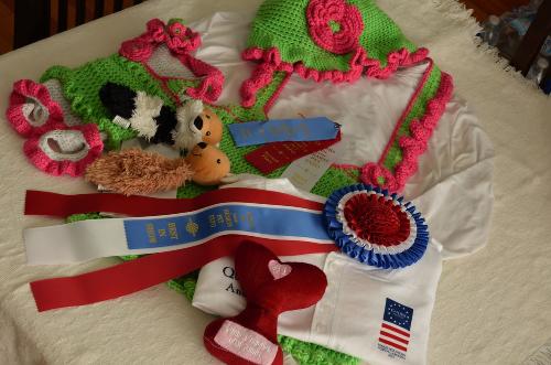 All of our prizes (except for the $25 & free pictures at Pawsitive touch Grooming) and our outfits. :)
