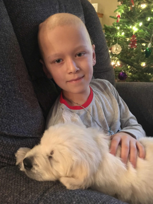 Sweetest picture EVER of a boy with the dog which he’s asked for throughout his treatment.