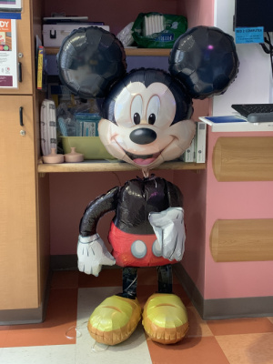 Mickey is in charge 