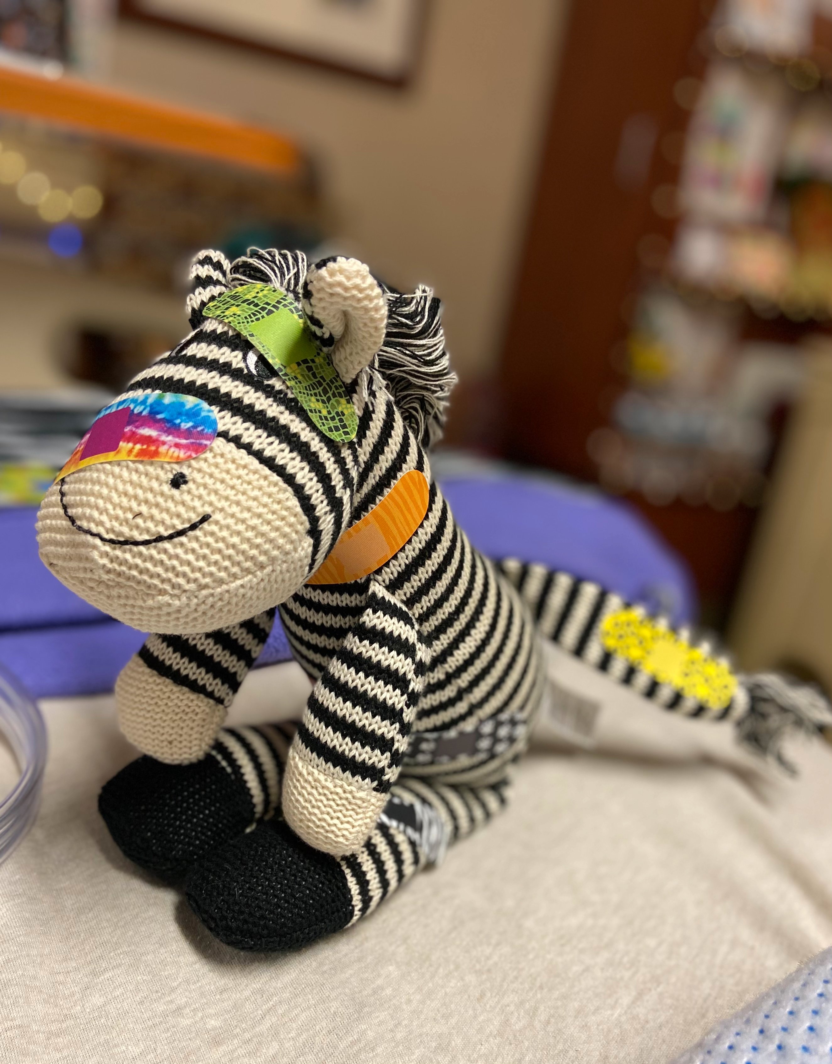 My (unnamed) adorable zebra :)
