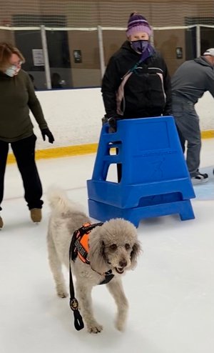 Ezra and I on the ice....he didn’t quite know what to think of it (he was free to be on or off the ice so he could decide)