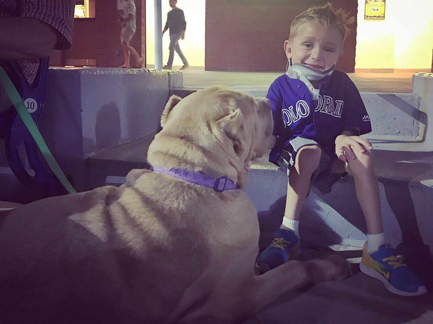Coop made friends with Bear, a fellow baseball and popcorn fan. He’s also a therapy dog. 