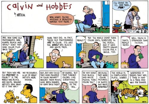 Calvin & Hobbes on the world in complicated