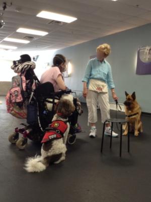 Greeting in class...dog must sit and stay while owners greet one another.