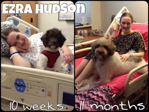 How did this happen?? {2 pictures of Ezra with me in a hospital bed - first at 10 weeks and second at 11 months}
