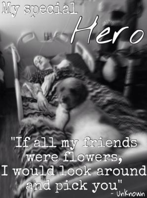 My special hero... {Ezra and me in the hospital bed with my hand holding his paw and the pic says "My special Hero"  "If all my friends were flowers, I would look around and pick you" - unknown}