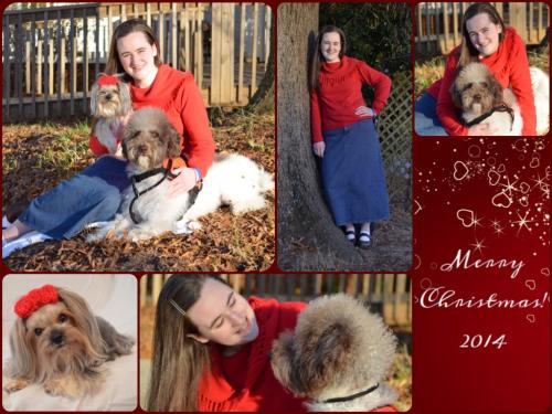 Several pictures of Ezra, Bella, and me from our Christmas photoshoot 2014