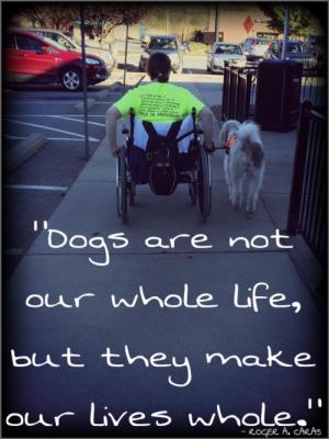 Strolling in my manual wheelchair with my Ezra by my side.  Quote on pic says "Dogs are not our whole life, but they make our lives whole." - Rodger A. Caras