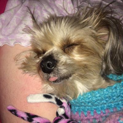 My precious little Bella Grace.  This was taken last night during movie time...she was snoring with her little tongue sticking out!  Too cute (When she's sleeping!)! ;)  