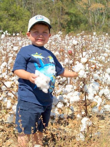 Hayden got ti visit the cotton field