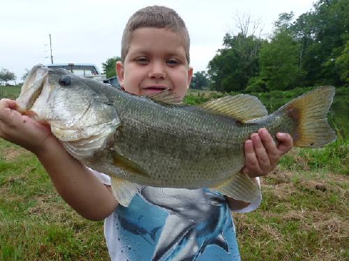 Hayden's latest catch. He caught this at his Papa's house!