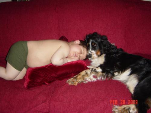 Hayden likes it when Semper takes a nap with him!
