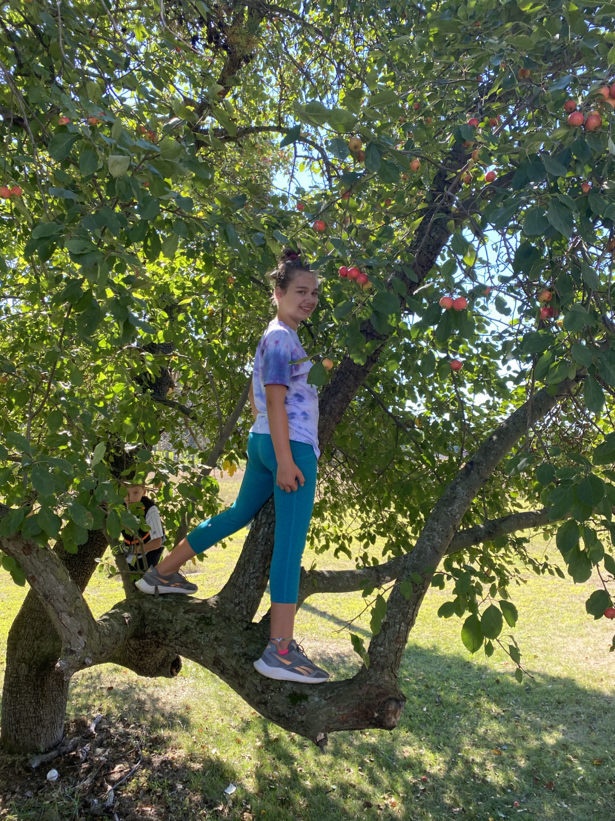 The kids playing in the same apple tree Ed played in when he was a kid! 