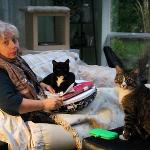 Cats as editors, working on a project: Nov 13, 2014