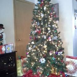 Our Beautiful Christmas Tree!! Craig, Michael and I all had a part in either putting it up or decorating it.