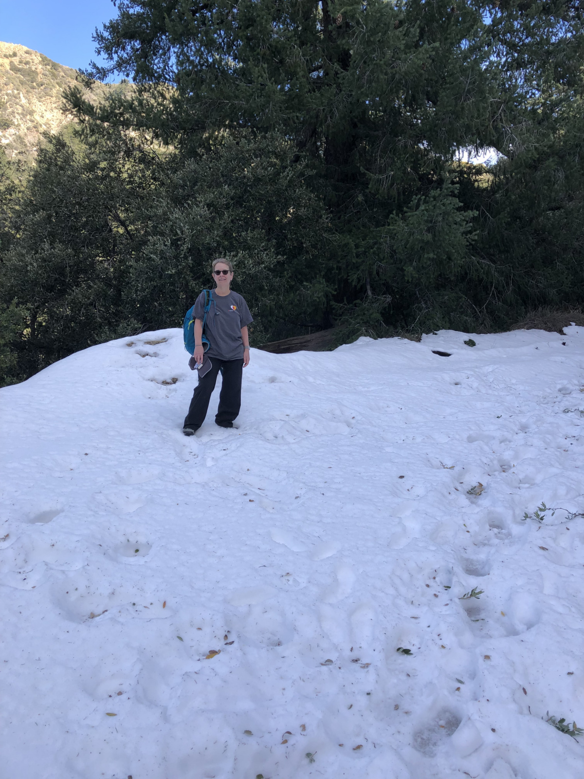 New Years Day Hike up Mount Lowe in Altadena