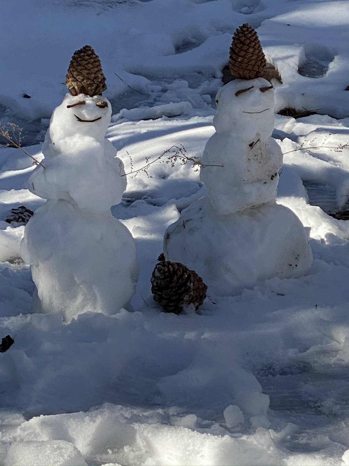 Snowmen atop Mt. San Jacinto