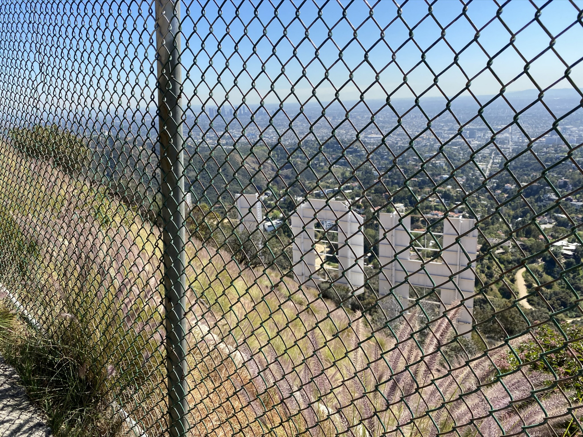 The view from above the Hollywood Sign
