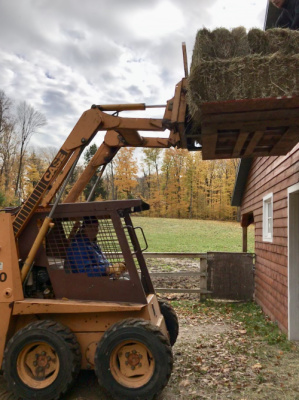 Chuck runs the skid steer and neighbors load and unload the hay.  Thank you Irene and Darryl!
