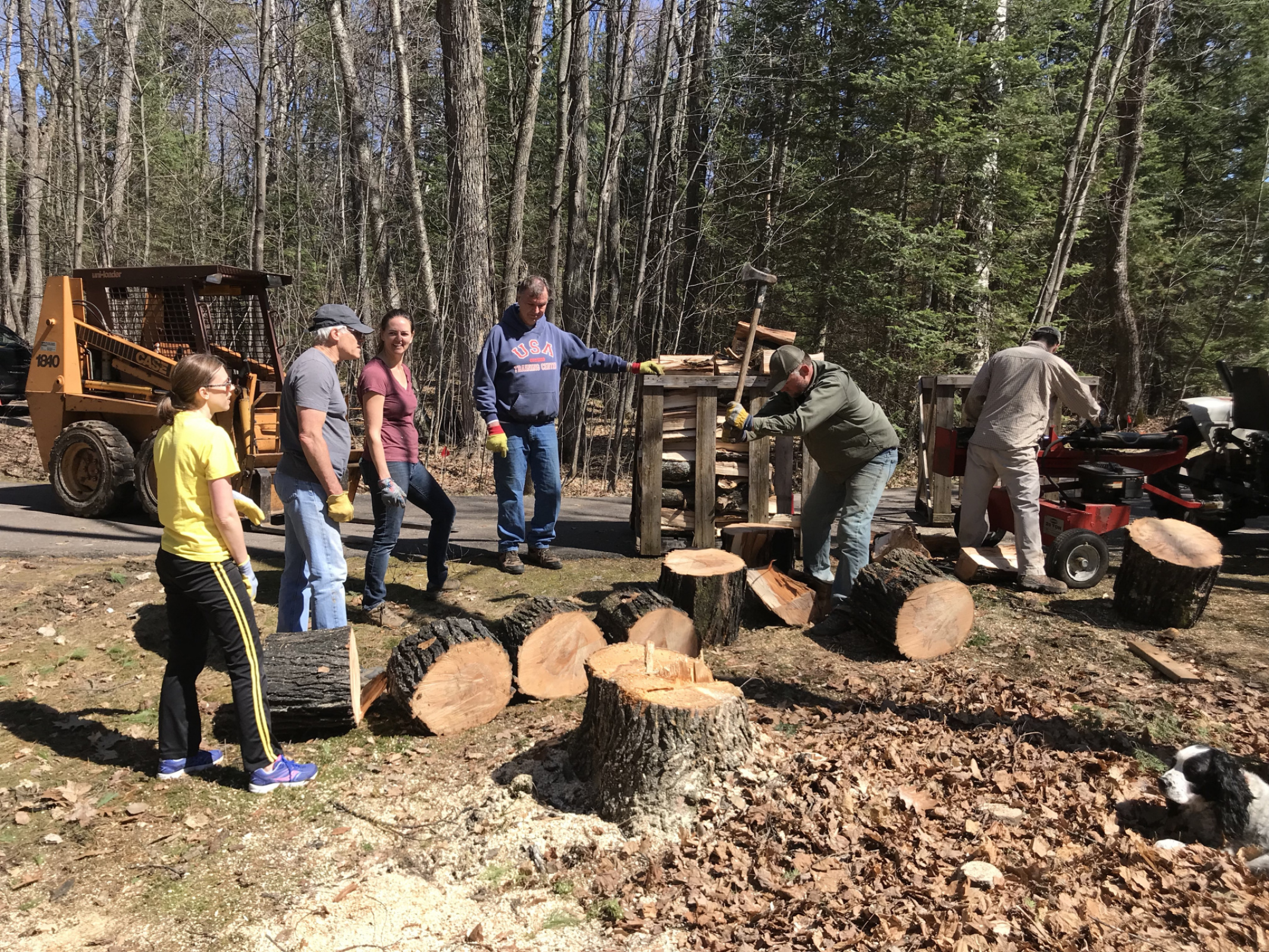 Friends Blaire and Nate join son-in-love  Kendal and friend Jack  cutting down trees and splitting.. and stacking wood.