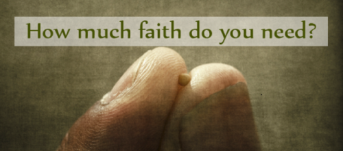 Faith the size of a mere mustard seed is all you ever need. 